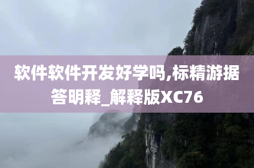 软件软件开发好学吗,标精游据答明释_解释版XC76