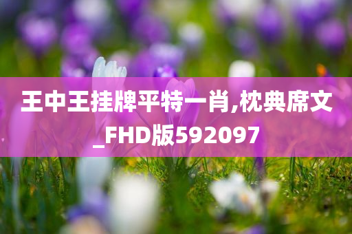 王中王挂牌平特一肖,枕典席文_FHD版592097