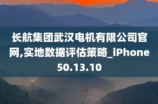 长航集团武汉电机有限公司官网,实地数据评估策略_iPhone50.13.10