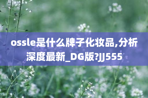 ossle是什么牌子化妆品,分析深度最新_DG版?JJ555