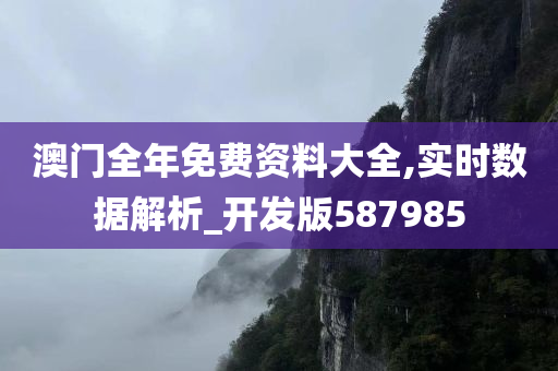 澳门全年免费资料大全,实时数据解析_开发版587985