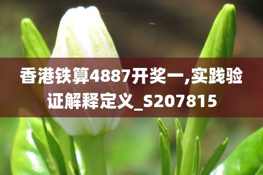 香港铁算4887开奖一,实践验证解释定义_S207815