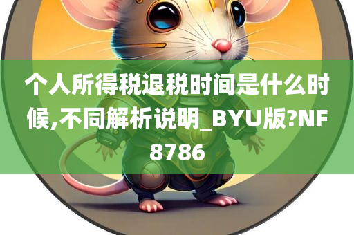 个人所得税退税时间是什么时候,不同解析说明_BYU版?NF8786