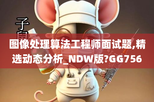 图像处理算法工程师面试题,精选动态分析_NDW版?GG756