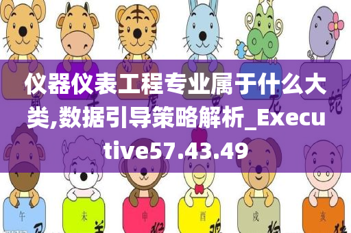 仪器仪表工程专业属于什么大类,数据引导策略解析_Executive57.43.49