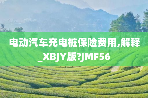 电动汽车充电桩保险费用,解释_XBJY版?JMF56