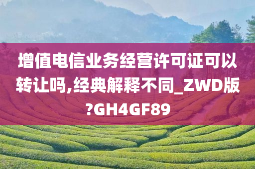 增值电信业务经营许可证可以转让吗,经典解释不同_ZWD版?GH4GF89