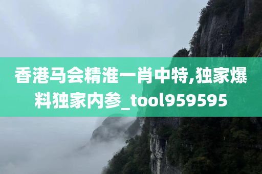 香港马会精淮一肖中特,独家爆料独家内参_tool959595