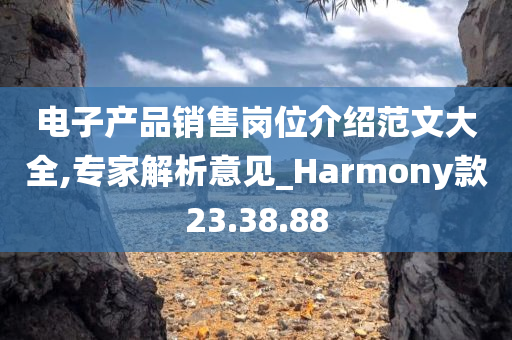 电子产品销售岗位介绍范文大全,专家解析意见_Harmony款23.38.88