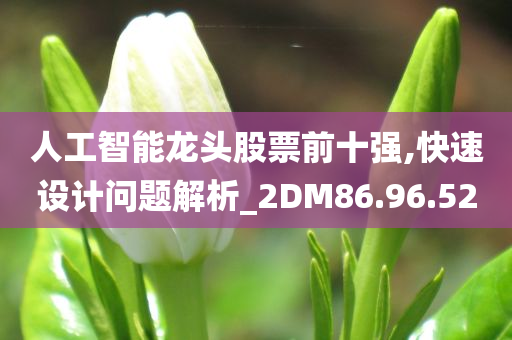 人工智能龙头股票前十强,快速设计问题解析_2DM86.96.52