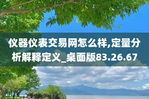 仪器仪表交易网怎么样,定量分析解释定义_桌面版83.26.67