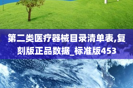 第二类医疗器械目录清单表,复刻版正品数据_标准版453