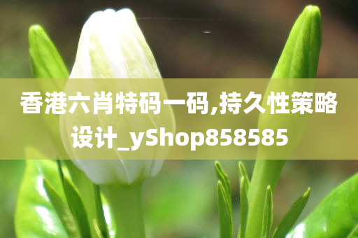 香港六肖特码一码,持久性策略设计_yShop858585