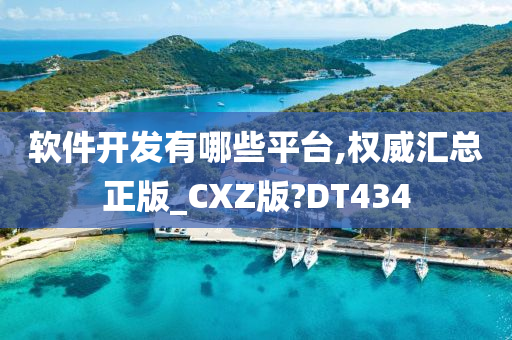 软件开发有哪些平台,权威汇总正版_CXZ版?DT434