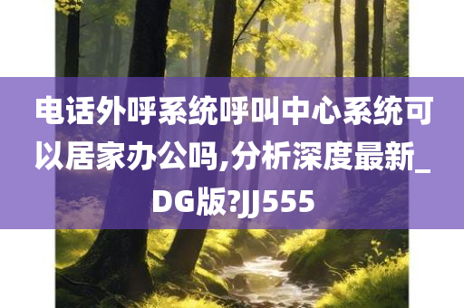 电话外呼系统呼叫中心系统可以居家办公吗,分析深度最新_DG版?JJ555