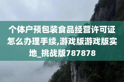 个体户预包装食品经营许可证怎么办理手续,游戏版游戏版实地_挑战版787878