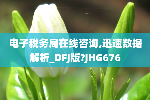 电子税务局在线咨询,迅速数据解析_DFJ版?JHG676