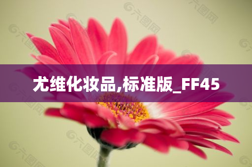 尤维化妆品,标准版_FF45