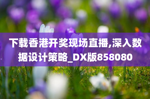 下载香港开奖现场直播,深入数据设计策略_DX版858080