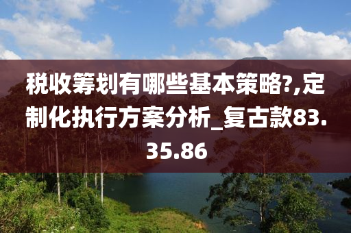 税收筹划有哪些基本策略?,定制化执行方案分析_复古款83.35.86