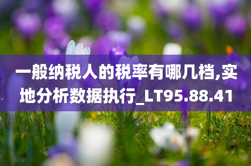 一般纳税人的税率有哪几档,实地分析数据执行_LT95.88.41