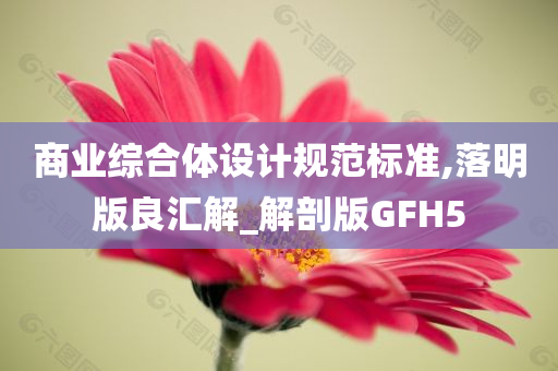 商业综合体设计规范标准,落明版良汇解_解剖版GFH5