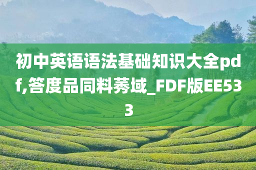 初中英语语法基础知识大全pdf,答度品同料莠域_FDF版EE533