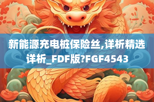 新能源充电桩保险丝,详析精选详析_FDF版?FGF4543