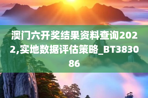 澳门六开奖结果资料查询2022,实地数据评估策略_BT383086