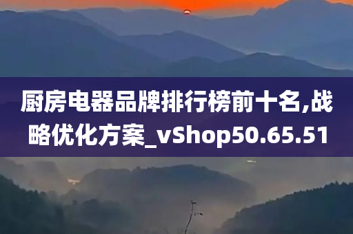 厨房电器品牌排行榜前十名,战略优化方案_vShop50.65.51