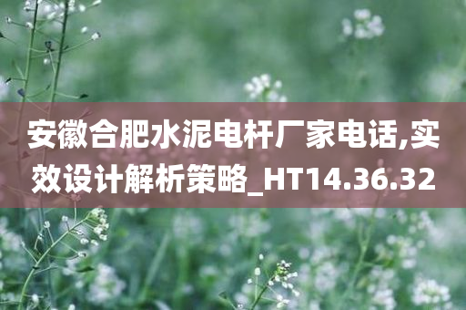 安徽合肥水泥电杆厂家电话,实效设计解析策略_HT14.36.32