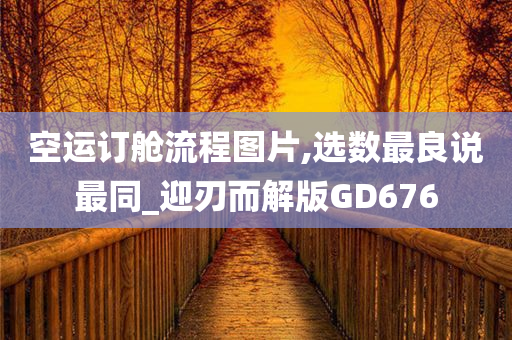 空运订舱流程图片,选数最良说最同_迎刃而解版GD676