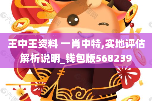 王中王资料 一肖中特,实地评估解析说明_钱包版568239