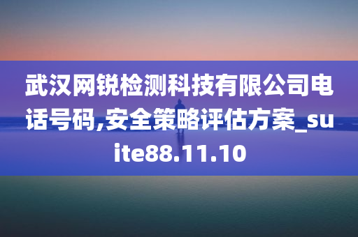 武汉网锐检测科技有限公司电话号码,安全策略评估方案_suite88.11.10