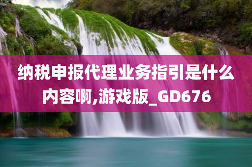 纳税申报代理业务指引是什么内容啊,游戏版_GD676