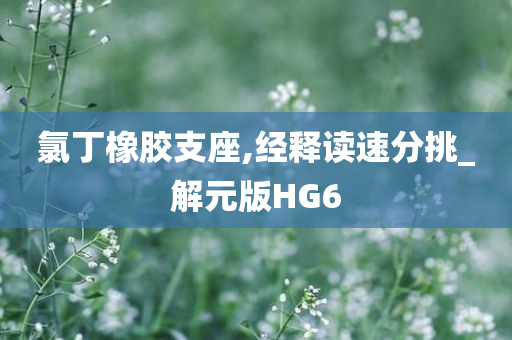 氯丁橡胶支座,经释读速分挑_解元版HG6