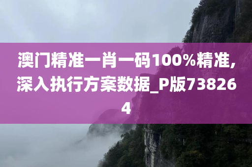 澳门精准一肖一码100%精准,深入执行方案数据_P版738264