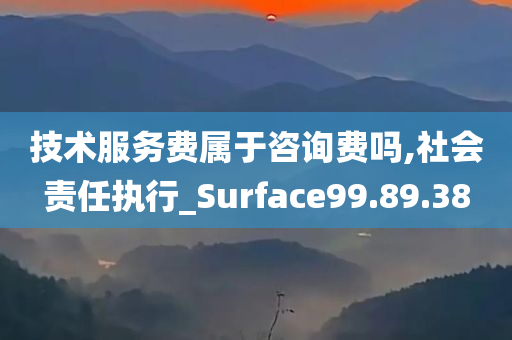 技术服务费属于咨询费吗,社会责任执行_Surface99.89.38