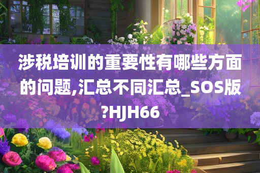 涉税培训的重要性有哪些方面的问题,汇总不同汇总_SOS版?HJH66