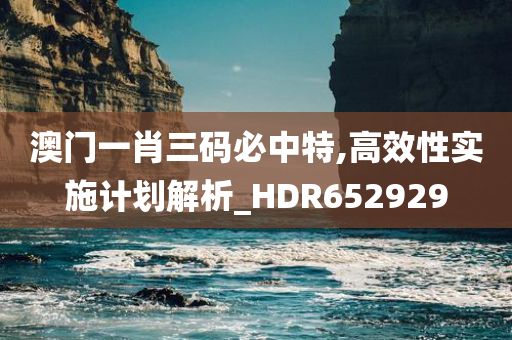 澳门一肖三码必中特,高效性实施计划解析_HDR652929