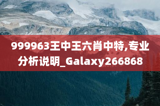 999963王中王六肖中特,专业分析说明_Galaxy266868