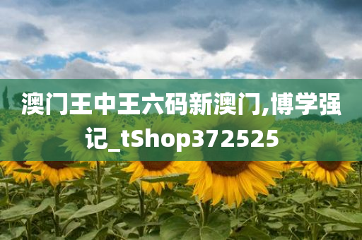 澳门王中王六码新澳门,博学强记_tShop372525