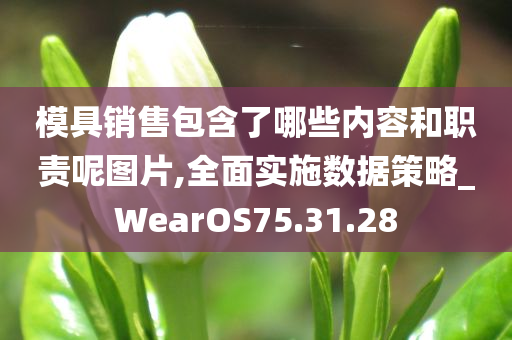 模具销售包含了哪些内容和职责呢图片,全面实施数据策略_WearOS75.31.28