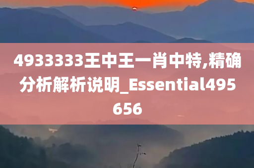 4933333王中王一肖中特,精确分析解析说明_Essential495656