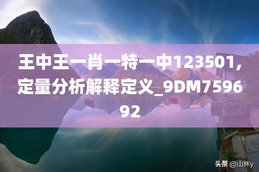 王中王一肖一特一中123501,定量分析解释定义_9DM759692