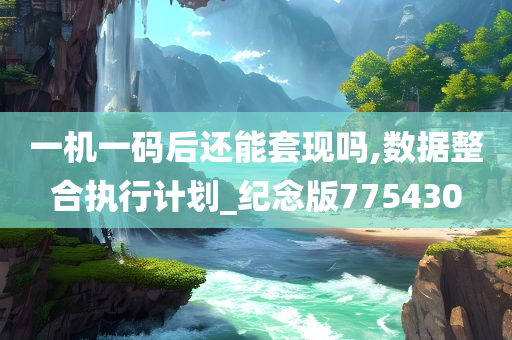 一机一码后还能套现吗,数据整合执行计划_纪念版775430