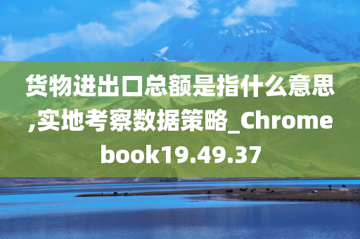 货物进出口总额是指什么意思,实地考察数据策略_Chromebook19.49.37