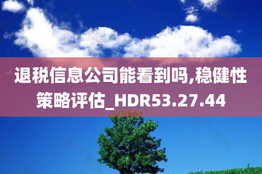 退税信息公司能看到吗,稳健性策略评估_HDR53.27.44