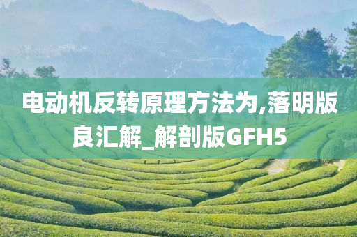 电动机反转原理方法为,落明版良汇解_解剖版GFH5