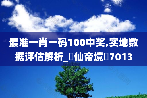 最准一肖一码100中奖,实地数据评估解析_‌仙帝境‌7013